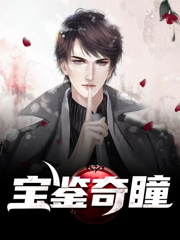 鉴宝灵瞳目录
