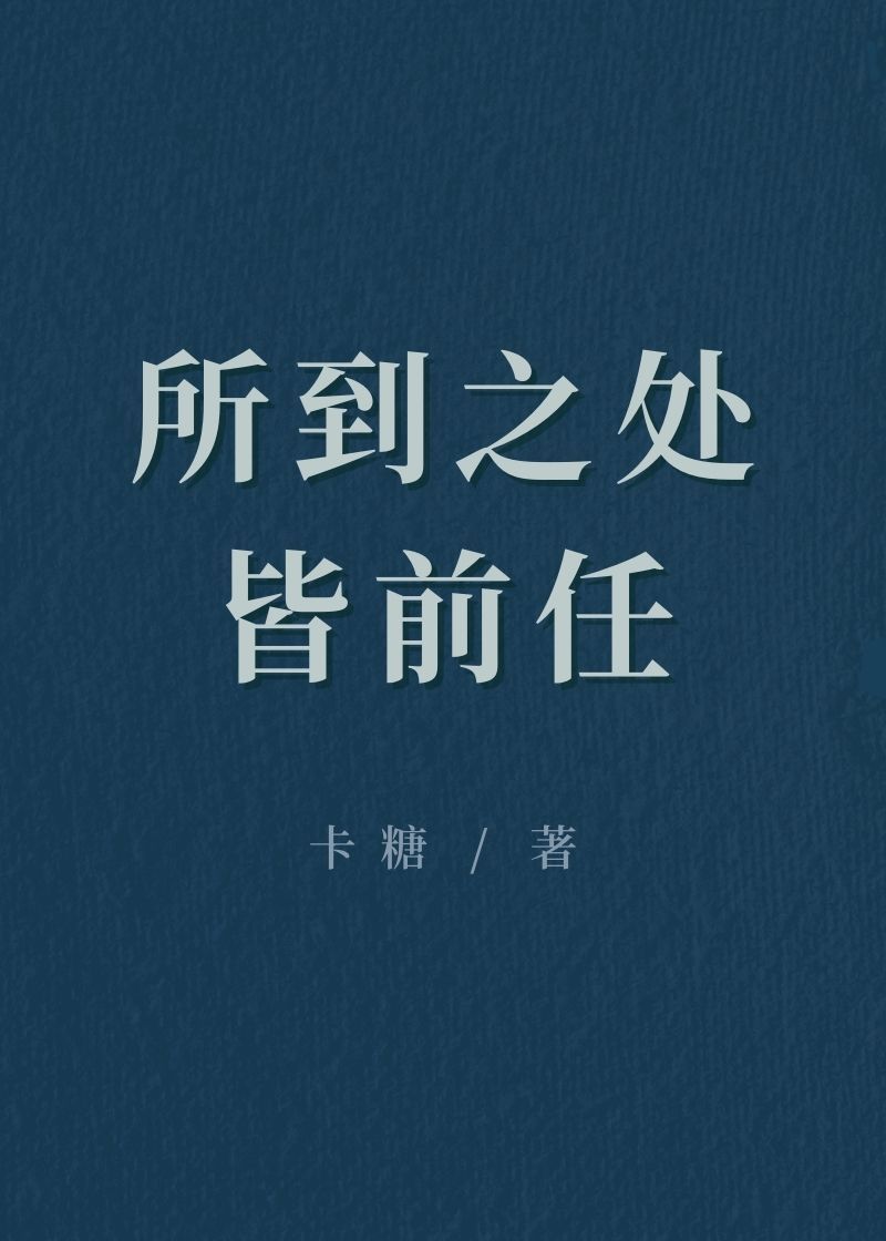 所到之处皆前任