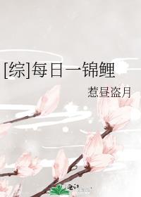 综每日一锦鲤百度网盘