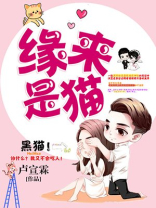 缘来是猫