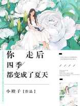 你走以后四季更替银色满季