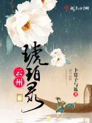云州琥珀录小说 电子书下载