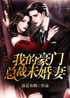 我的豪门总裁未婚妻