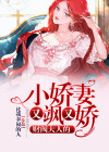 大财阀的小娇妻免费阅读大结局
