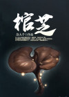 棺芝是什么