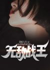 无敌战王叶城柳昭晴免费阅读