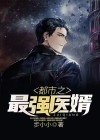 都市之最强医婿