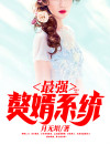 最强赘婿系统徐家城