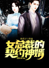 女总裁的神豪女婿100集
