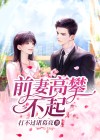 前妻高攀不起全文免费阅读