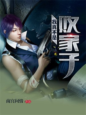 我不是败家子小说