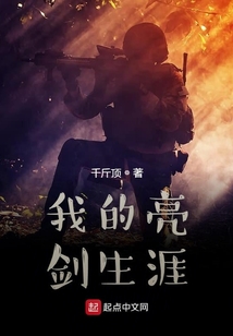 我的亮剑生涯笔趣阁