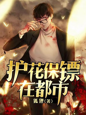 都市护花保镖金锐