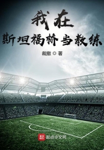 我在斯坦福桥当教练百度网盘