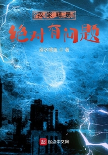 我家精灵绝对有问题 小说