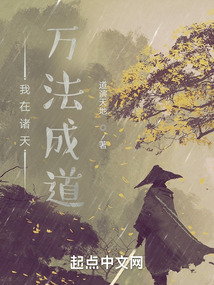 我在诸天万法成道 小说