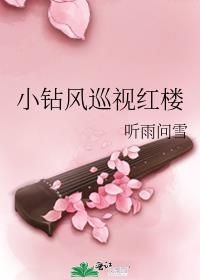 小钻风巡视红楼 小说