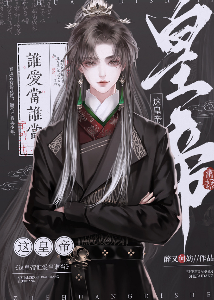 皇上我是谁