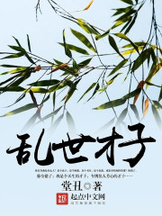 乱世才子 小说
