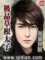 极品草根太子 小说