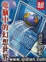 电脑中的幻想世界TXT精校版
