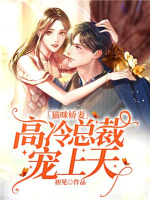 高冷小猫咪
