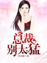 总裁别太猛