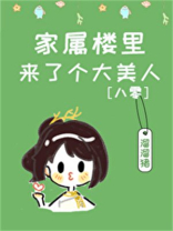 家属楼来了个大美人[八零]作者沈宝爷