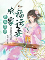 穿越状元郎的农家妻