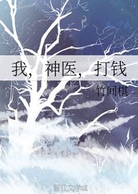我的神医大人