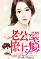 隐婚老公要给力免费阅读