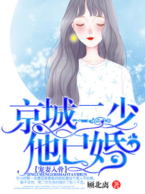宠妻入骨:京城二少他已婚