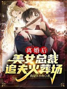 离婚后美女总裁追夫火葬场小说