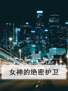 女神的绝密护卫