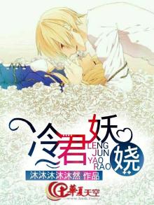 冷君宠妃