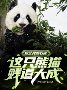 熊猫邋遢