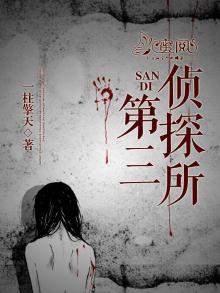 第三侦探所 小说
