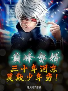 巅峰赘婿：三十年河东，莫欺少年穷！