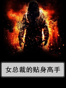 女总裁的贴身高手