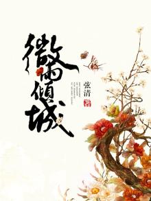 微雨倾城小说