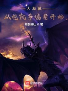 大海贼从挖凯多墙角开始笔趣阁