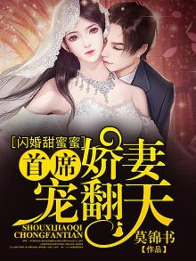 闪婚甜蜜蜜：首席娇妻宠翻天