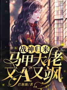 战神归来:马甲大佬又a又飙