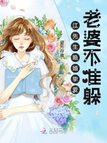 江先生隐婚挚爱的小说内容