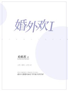 婚外欢