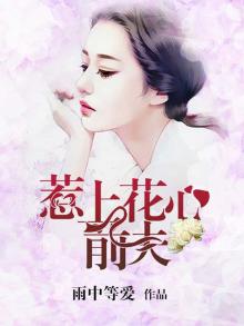 惹上前夫要小心