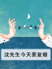 沈先生今天要复婚