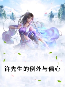 许先生的例外与偏心