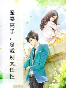 宠妻高手：总裁别太任性
