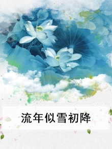 流年似雪的意思是什么